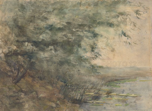 Willows on the shore of a lake, 1863-1903. Creator: George Poggenbeek.