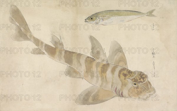 Two fish: gurnard and herring, 1836. Creator: Ishikawa Kazan.