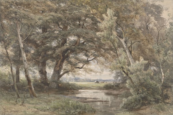 Water under trees at the end of a forest, 1835-1877. Creator: Jan Willem van Borselen.