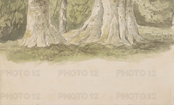 Tree trunks, 1868. Creator: Johannes Tavenraat.