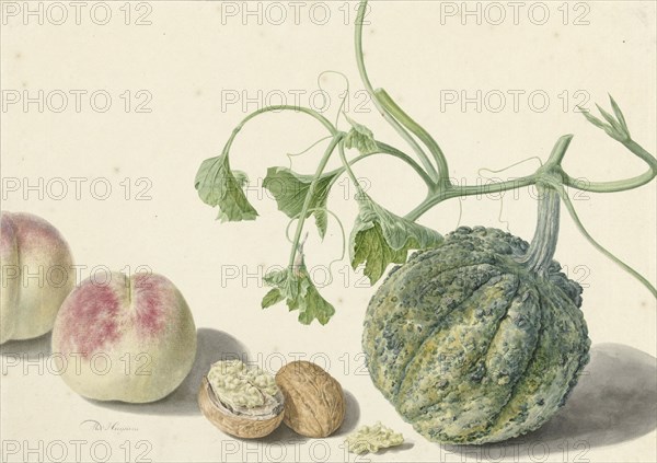 Gourd, two peaches and a walnut, 1714-1760. Creator: Michiel van Huysum.