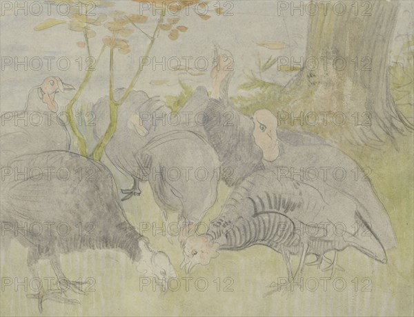 Turkeys in a garden, 1873-1917. Creator: Theo van Hoytema.