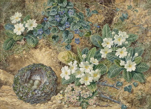 Still life of a bird's nest, violets, primroses and apple blossoms, 1872. Creator: Thomas Frederick Collier.