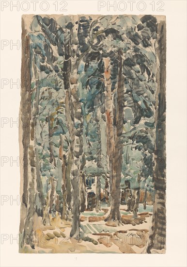 Forest view, 1873-1932. Creator: Willem Steenhoff.
