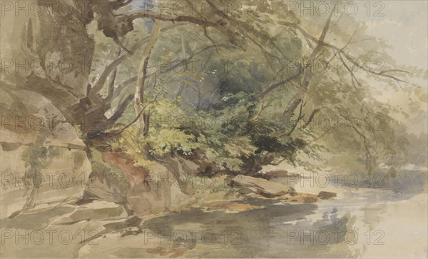 View in Stapleton Wood, near Bristol, 1843. Creator: William James Muller.