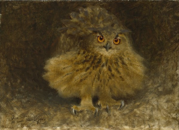 An Eagle Owl, 1905. Creator: Bruno Liljefors.