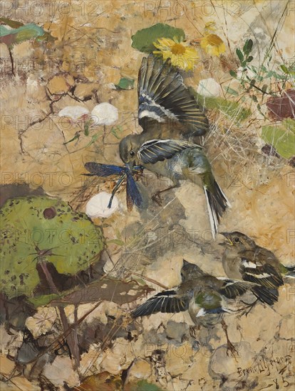 Chaffinches and Dragonflies. Five studies in one frame, 1885. Creator: Bruno Liljefors.