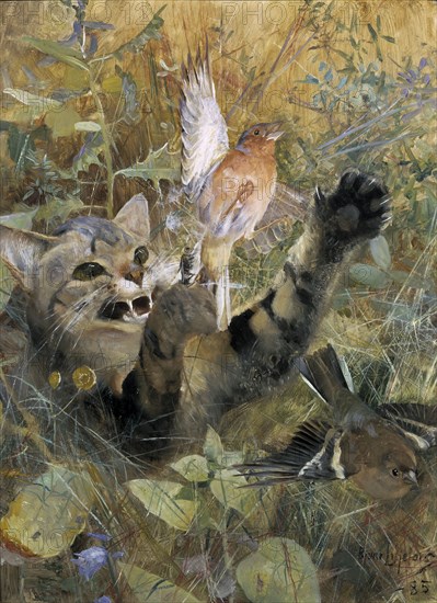 A Cat and a Chaffinch. Five animal studies in one frame, 1885. Creator: Bruno Liljefors.