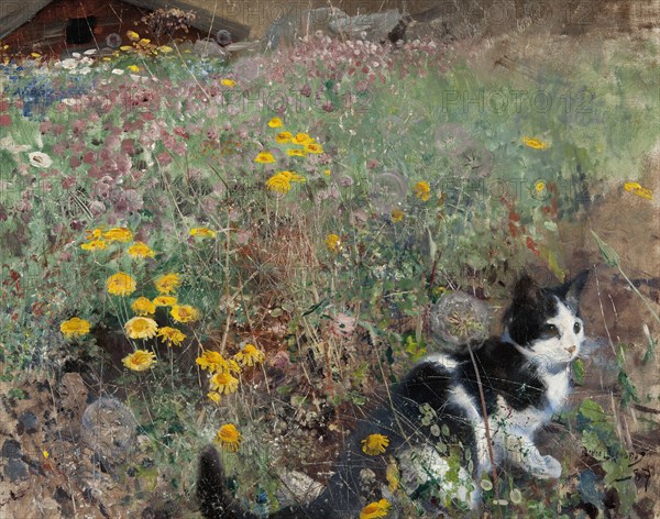 Cat on a flowery meadow, 1887. Creator: Bruno Liljefors.