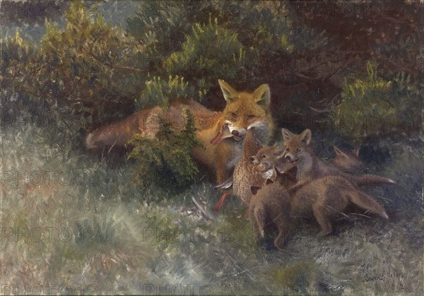 Fox with Cubs, 1912. Creator: Bruno Liljefors.