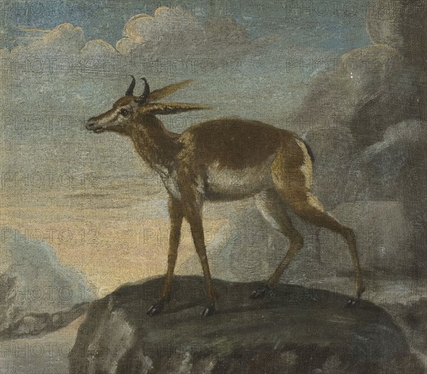 Bengal deer, late 17th-early 18th century. Creator: David Kock.