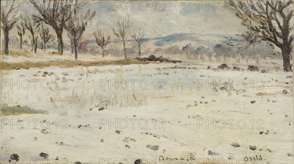 Bonn am Rhein. Winter Landscape. Creator: Helmer Osslund.