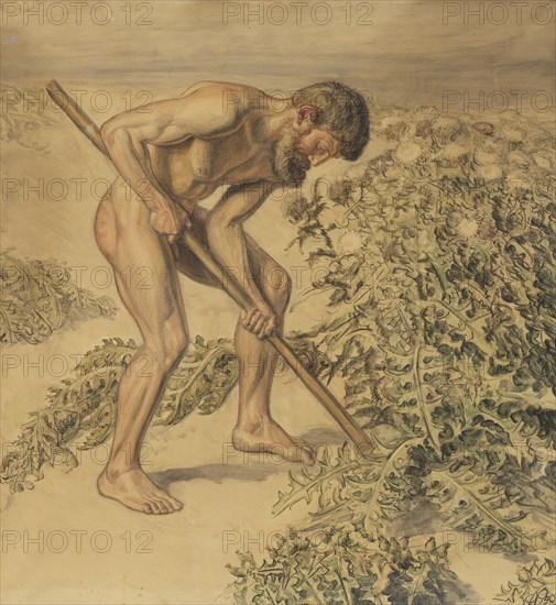 Adam drawing up Thistles, 1903. Creator: Joakim Skovgaard.