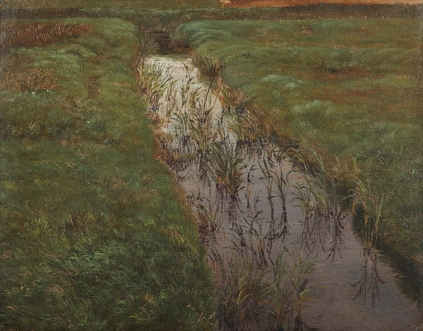 A Ditch, c.1850. Creator: Lorenz Frolich.