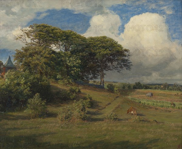 Beeches at the Dagsås Church, Halland, 1891. Creator: Niels Skovgaard.