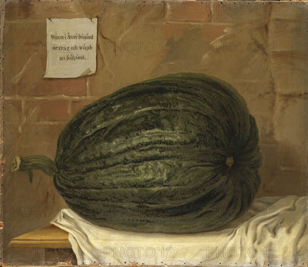A huge pumpkin, 18th century. Creator: Olof Fredsberg.