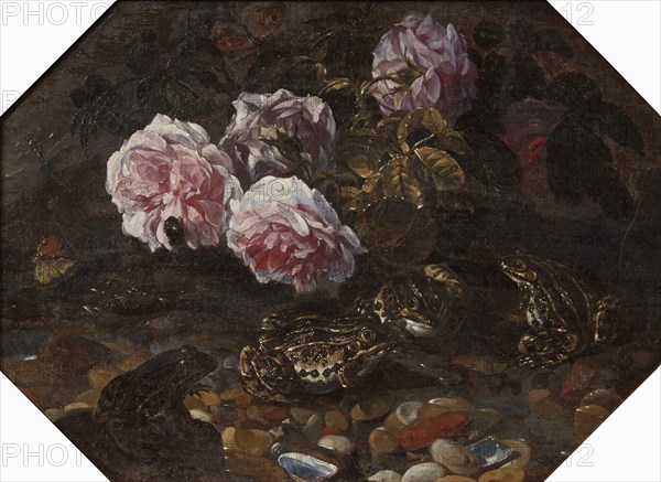 Frogs, Wild Roses, Shells and Butterflies, mid-late 17th century. Creator: Paolo Porpora.