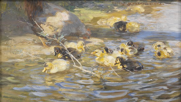 Ducks. Creator: Rudolf Schramm-Zittau.