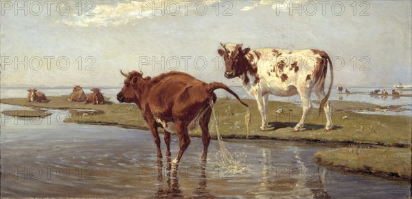 Cows on Saltholm, 1885. Creator: Theodor Esbern Philipsen.