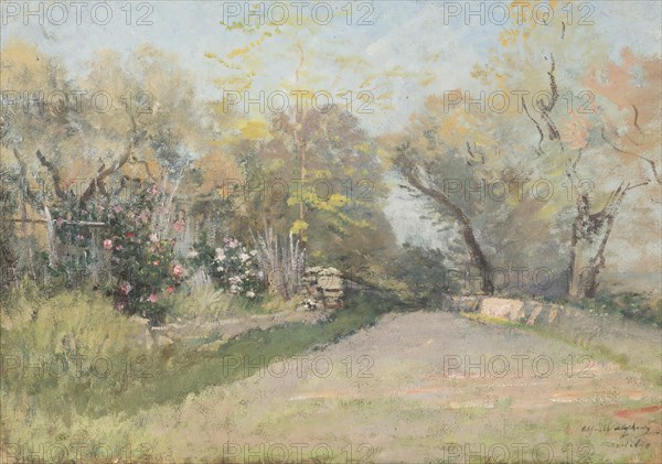 Landscape near Antibes. Study. Creator: Alfred Wahlberg.