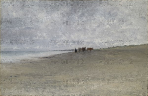 Hazy Weather by the Sea. Creator: August Hagborg.