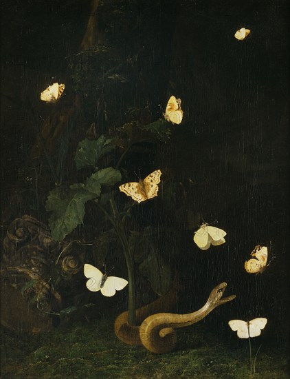 Herbs, Butterflies and a Serpent. Creator: Christian Jansz Striep.