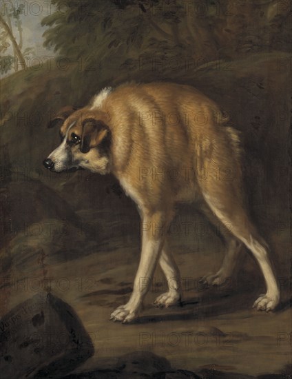 Deformed dog, 1690. Creator: David Klocker Ehrenstrahl.