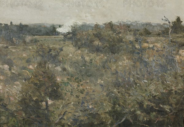 Landscape från Grez-sur-Loing. Study for NM 6809. Creator: Karl Nordström.