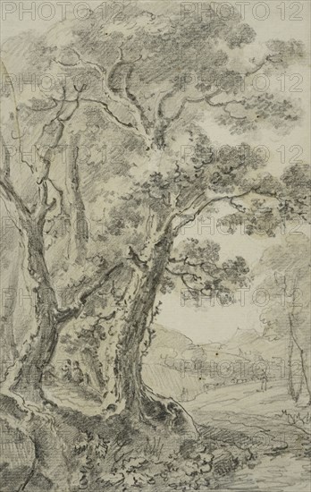 Landscape with tall trees in the foreground, unknown date. Creator: Anon.