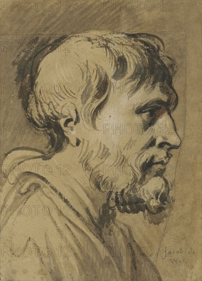 Male head, profile, unknown date. Creator: Anon.
