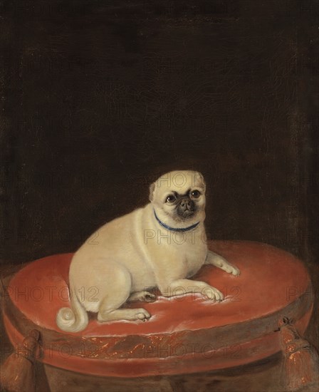 Pug, unknown date. Creator: Anon.