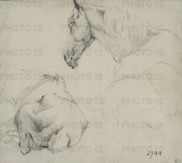 Studies of a horse lying down. Creator: Adriaen van de Velde.