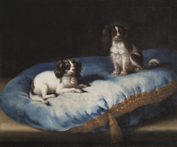 Two smaller dogs, c17th century. Creator: David Klocker Ehrenstrahl.