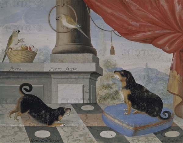 Two dogs and two parrots on a balcony, 1724. Creator: Philip Thelott.