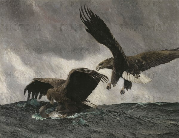 Sea Eagles, 1897. Creator: Bruno Liljefors.