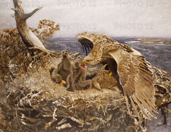 Sea Eagle's Nest, 1907. Creator: Bruno Liljefors.