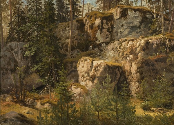 Stony Forest, 1853. Creator: Markus Larsson.