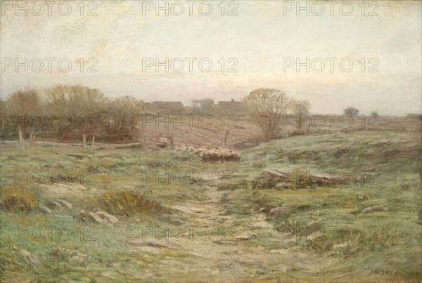 Landscape (Sheep in the Valley) (image 1 of 2), 1900. Creator: Dwight William Tryon.