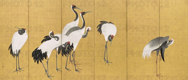 Cranes (image 1 of 20), An'ei period (1772-1780). Creator: Maruyama Okyo.