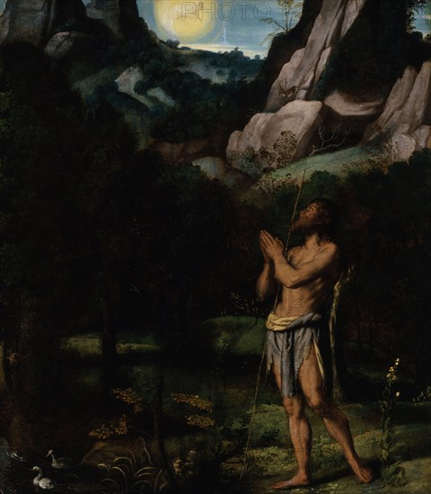 St. John the Baptist in the Wilderness, c1535. Creator: Moretto da Brescia.