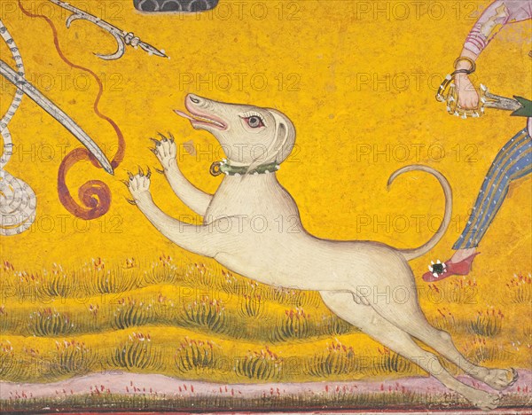 Saluki dog in 'Battling Elephants' (image 5 of 6), c1700. Creator: Unknown.