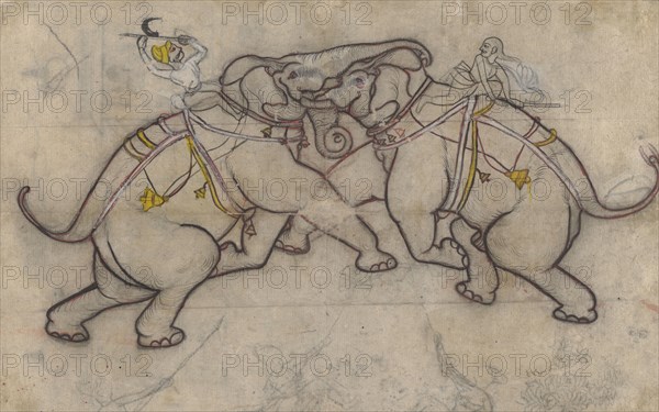 An Elephant Fight (Recto), between c1800 and c1825. Creator: Unknown.