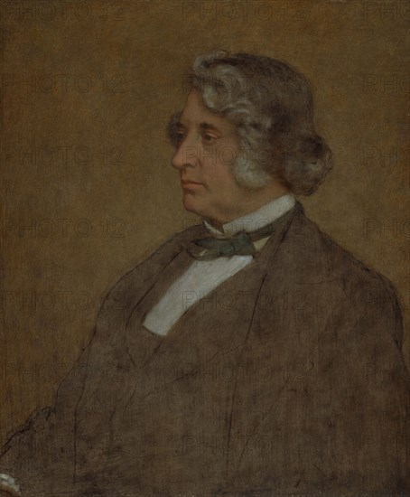Portrait of Senator Charles Sumner, 1874. Creator: William Page.