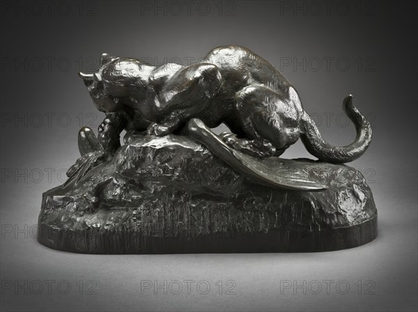 Ocelot Carrying Off a Heron (image 2 of 2), c.1850. Creator: Antoine-Louis Barye.