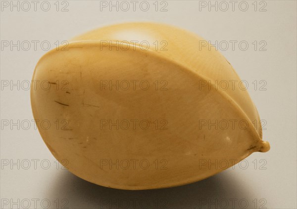 Gingko Nut, Mid-19th century. Creator: Ohara Mitsuhiro.