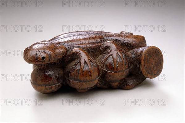 Lizard on Acorn Branch, 18th century. Creator: Unknown.