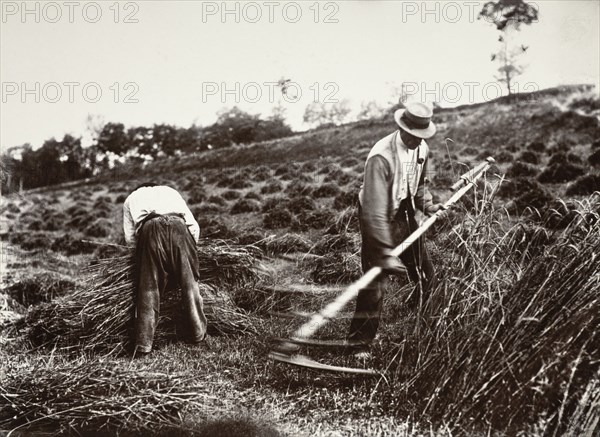 Faucheurs, Somme, 1890s, (1956). Creator: Eugene Atget.