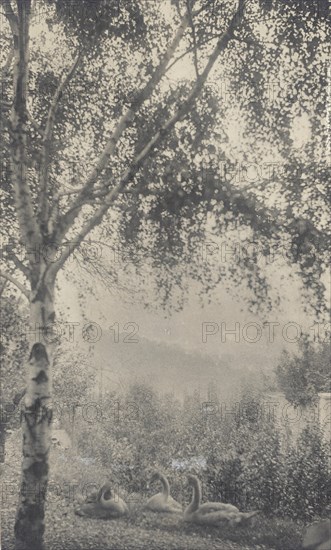 Rodin's Garden, c.1893. Creator: Gertrude Kasebier.