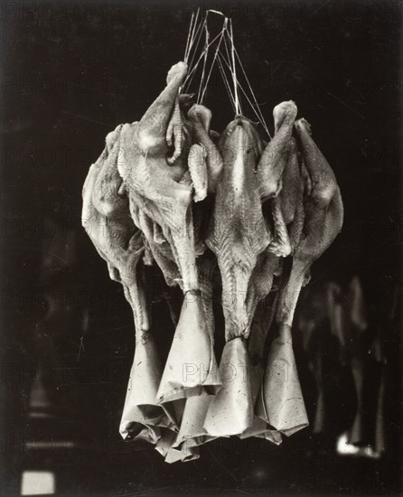 Ducks, Chinatown, Printed 1936. Creator: Lewis Wickes Hine.