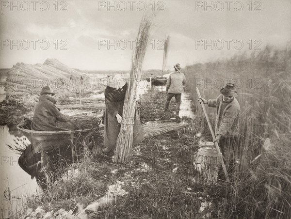 During the Reed-Harvest, 1886. Creator: Peter Henry Emerson.